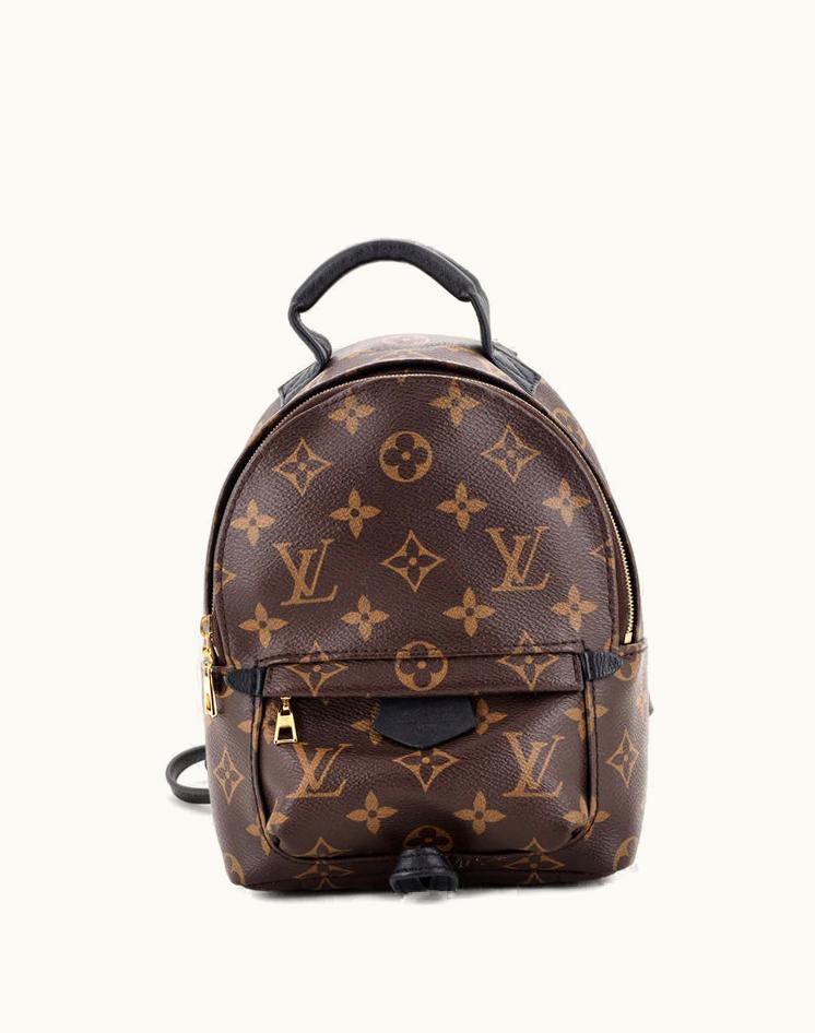Louis Vuitton Louis Vuitton Palm Springs Backpack Mini Coated Canvas Brown