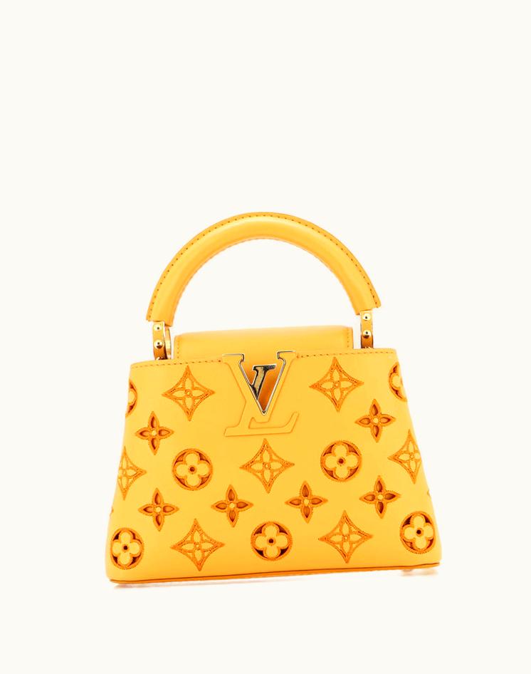 Louis Vuitton Louis Vuitton Capucines Bag Monogram Cutout Broderie Leather Mini