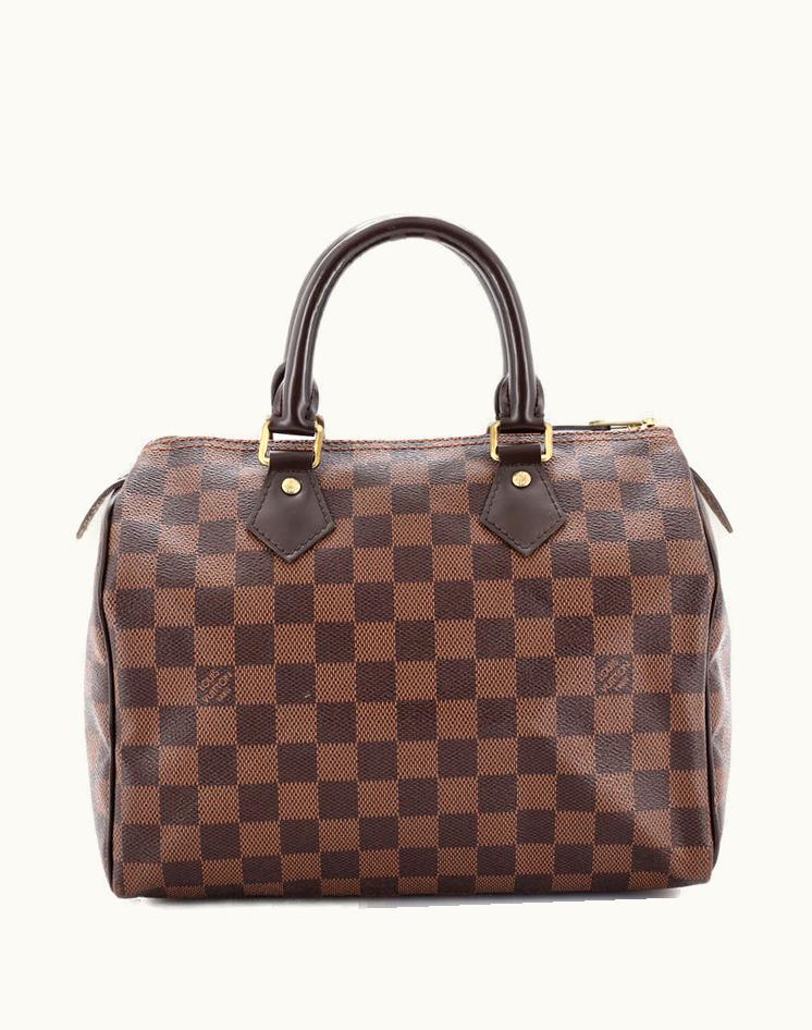 Louis Vuitton Louis Vuitton Speedy 25 Handbag Damier Brown