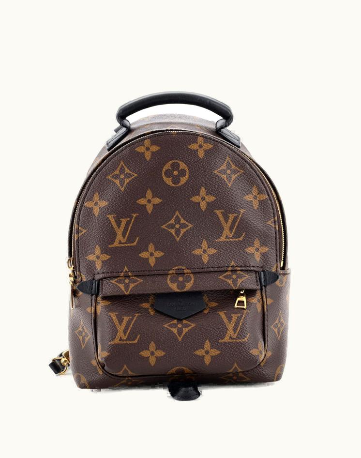 Louis Vuitton Louis Vuitton Palm Springs Backpack Monogram Canvas Mini Brown Black Gold