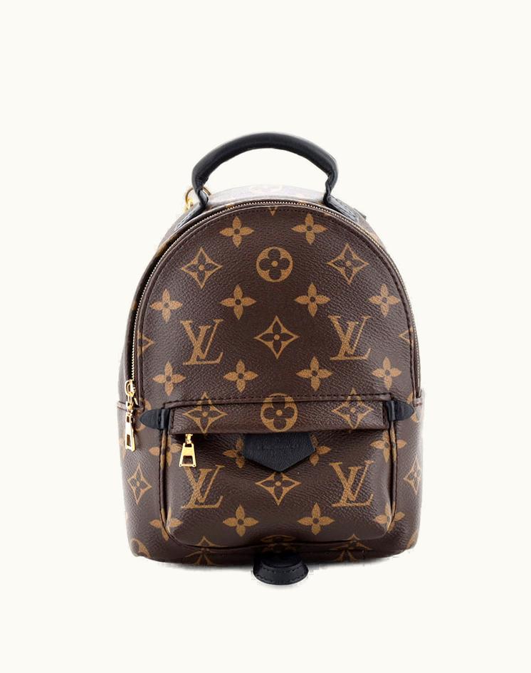 Louis Vuitton Louis Vuitton Palm Springs Backpack Monogram Canvas Mini Brown