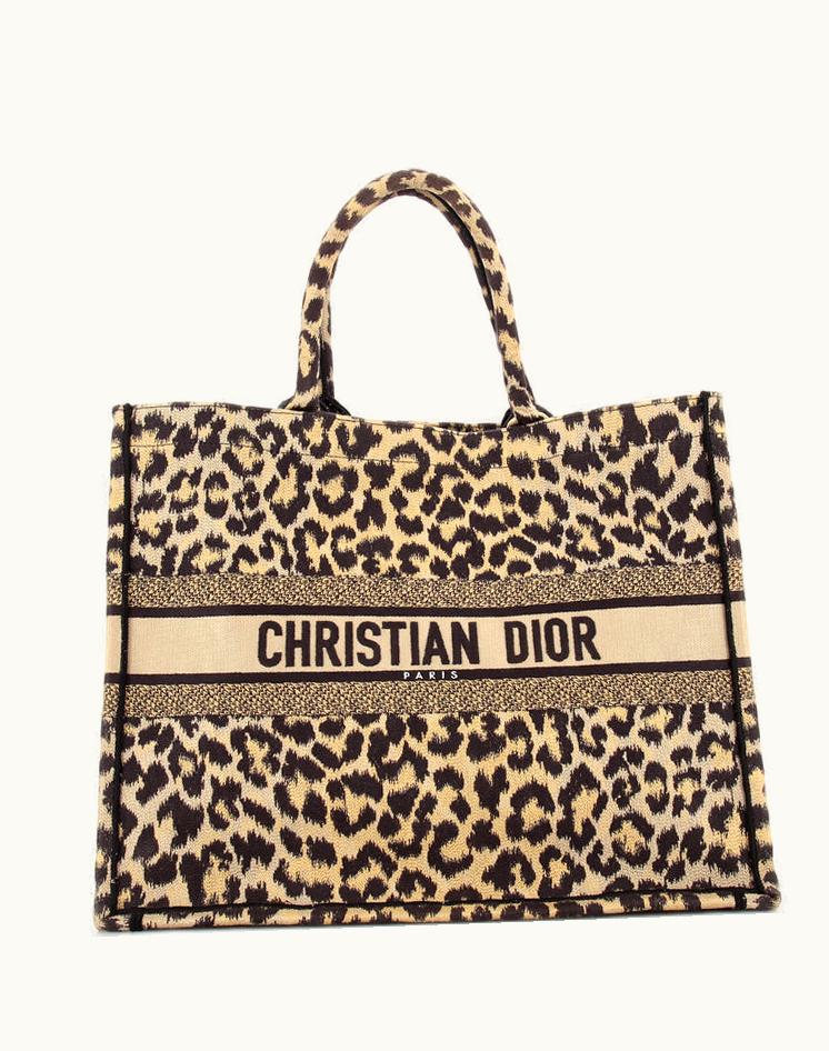 Dior Christian Dior Book Tote Mizza Embroidered Canvas Large in Print