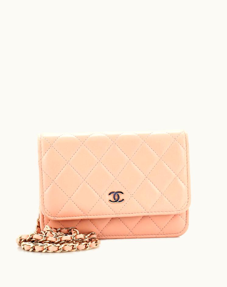 Chanel Chanel Wallet On Chain Quilted Lambskin Mini