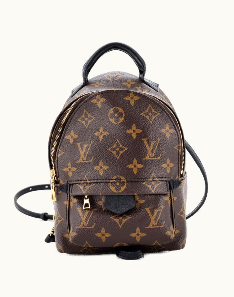 Louis Vuitton Louis Vuitton Palm Springs Backpack Monogram Canvas Mini in Brown and Gold