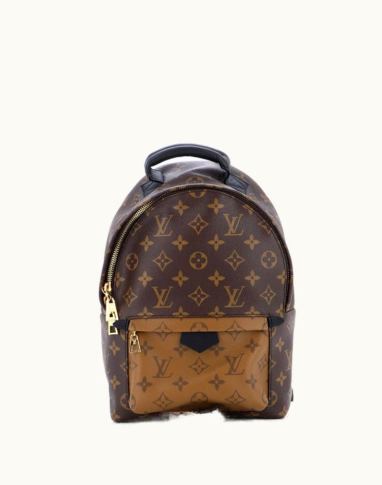 Louis Vuitton Louis Vuitton Palm Springs Backpack Reverse Monogram Canvas PM Brown