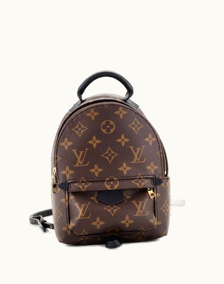 Louis Vuitton Louis Vuitton Palm Springs Mini Backpack Monogram Canvas Brown