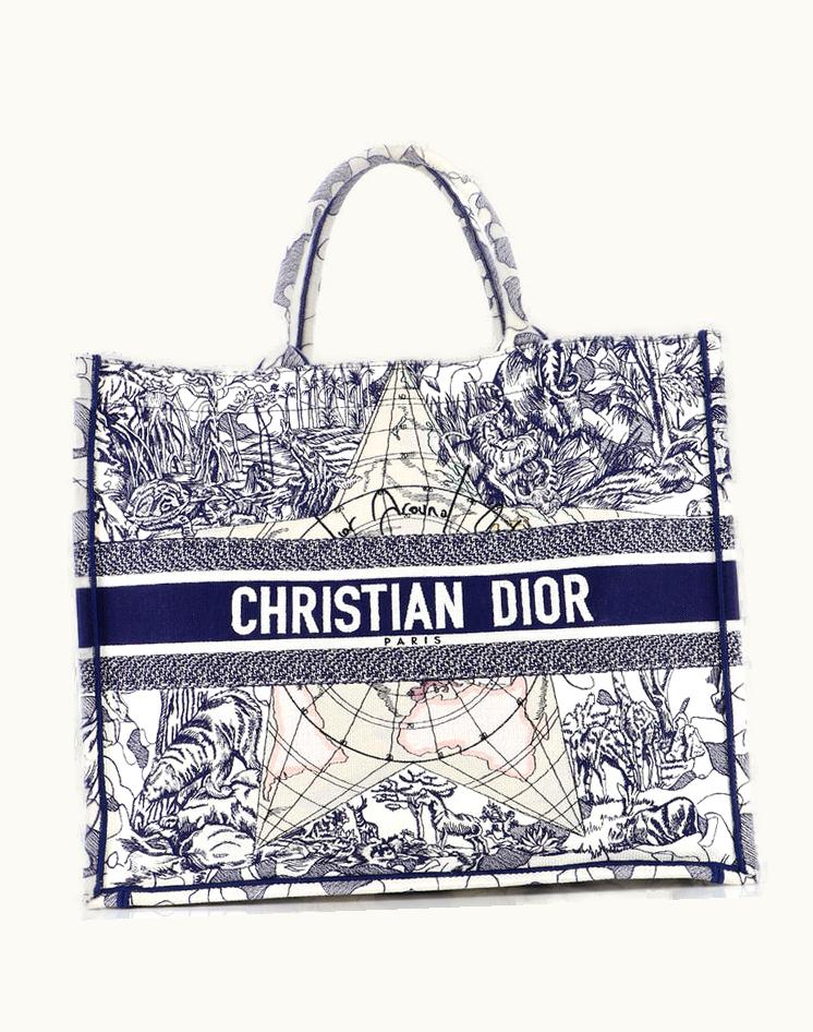 Dior Christian Dior Book Tote Embroidered Canvas Large Blue Neutral Print
