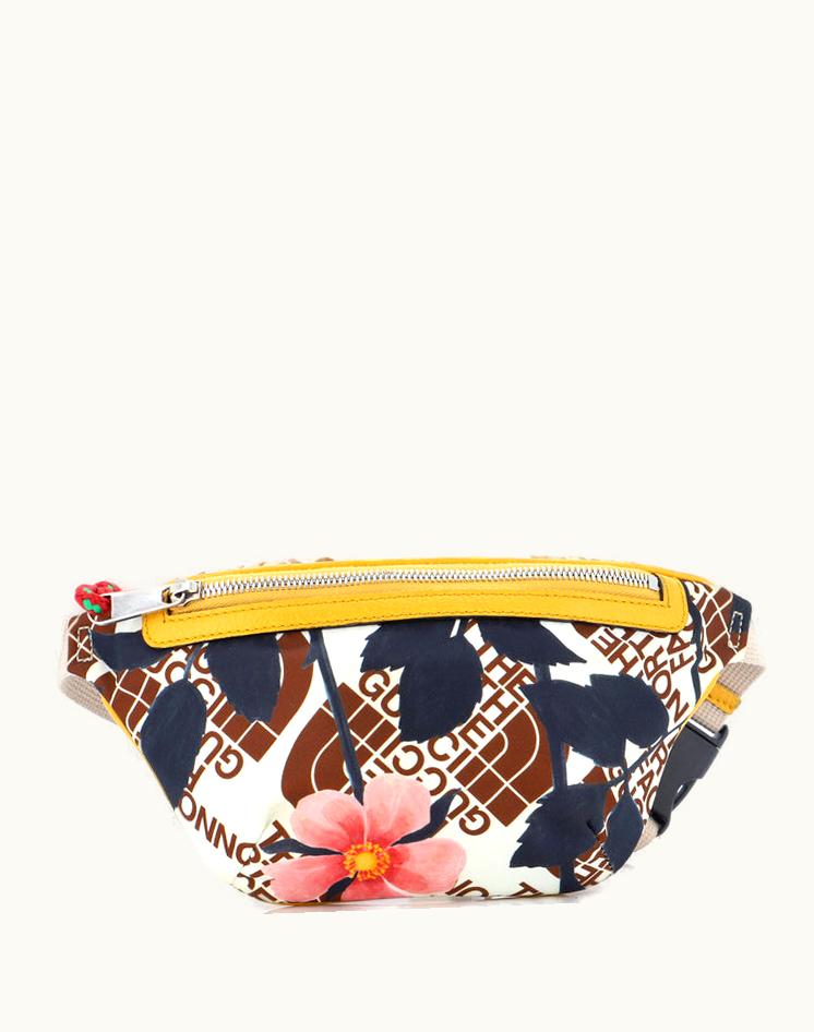 Gucci Gucci x The North Face Zip Belt Bag Printed Nylon Aged Silver