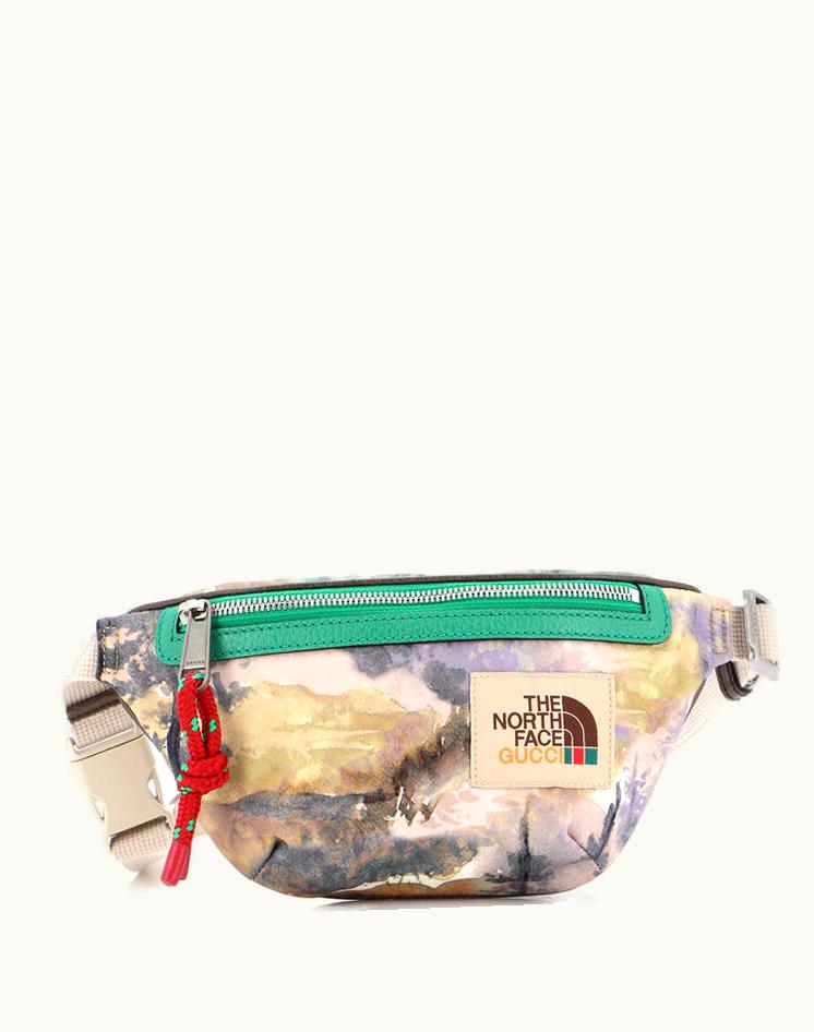 Gucci Gucci x The North Face 240013/103 Zip Belt Bag Printed Nylon in Vibrant Colors