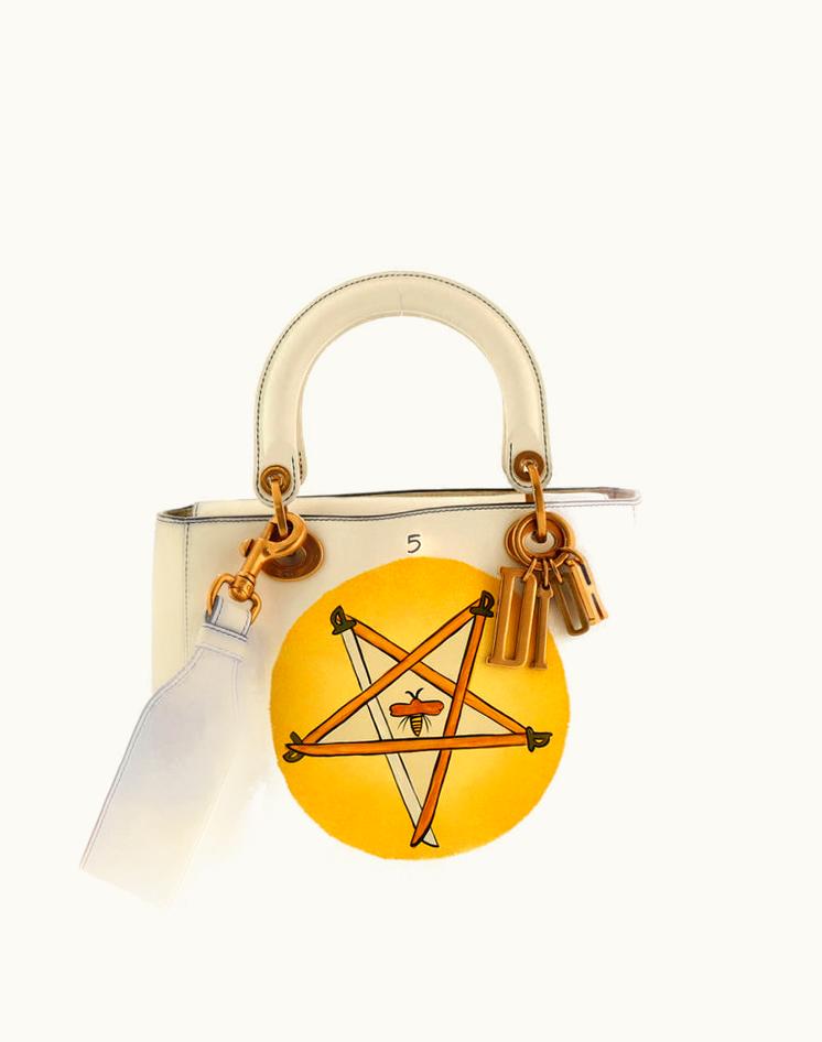 Dior Dior Supple Lady Dior Bag Limited Edition Niki De Saint Phalle Printed Leather Medium