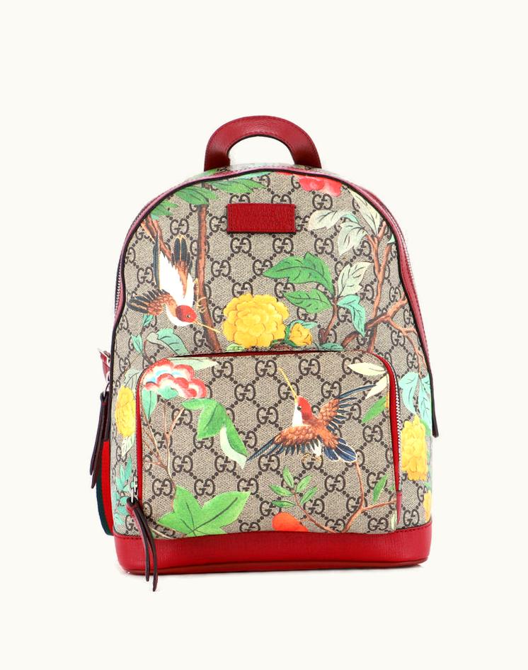Gucci Gucci Zip Pocket Backpack Tian Print GG Coated Canvas Small in Multicolor