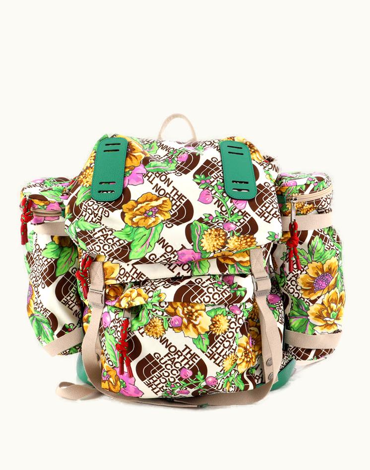 Gucci Gucci X The North Face Flap Backpack Printed Nylon Large