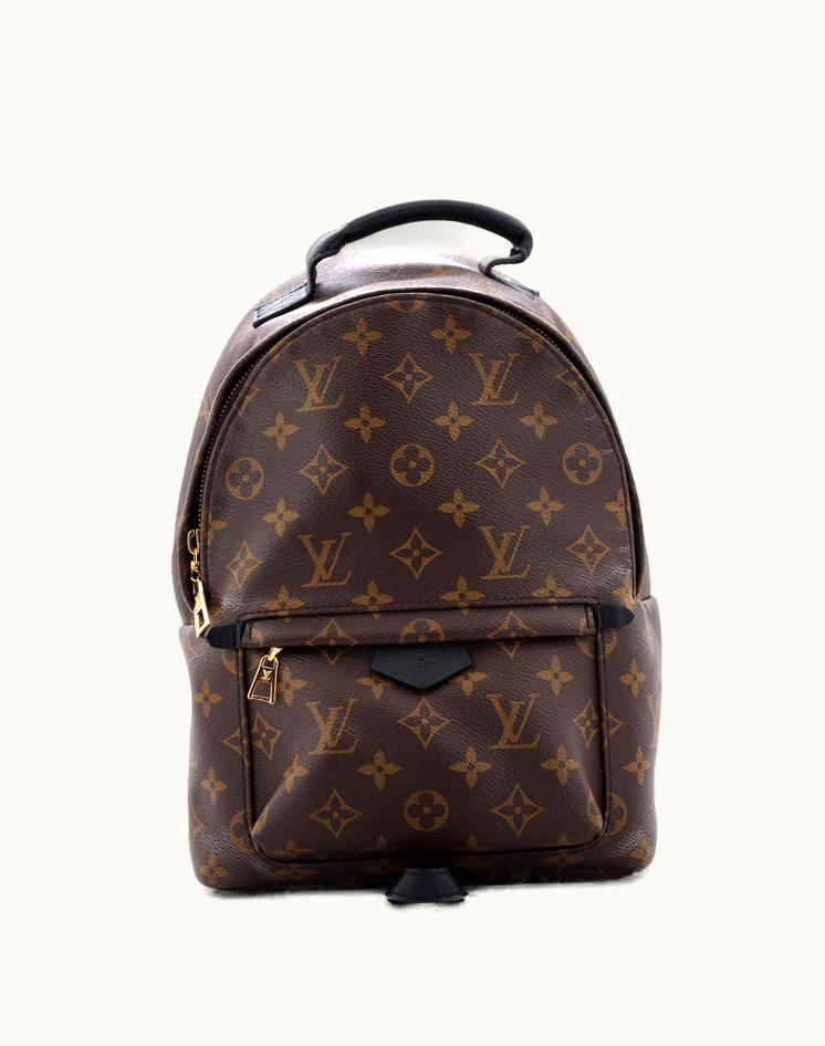 Louis Vuitton Louis Vuitton Palm Springs Backpack Monogram Canvas PM Brown