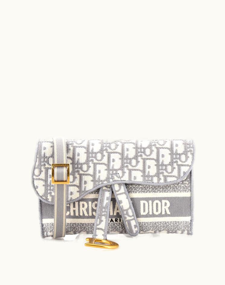 Dior Dior Saddle Slim Belt Pouch Logo Embroidered Oblique Canvas Gray