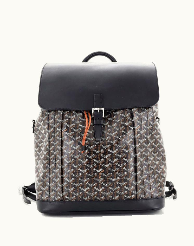 Goyard Goyard Alpin Backpack Coated Canvas MM