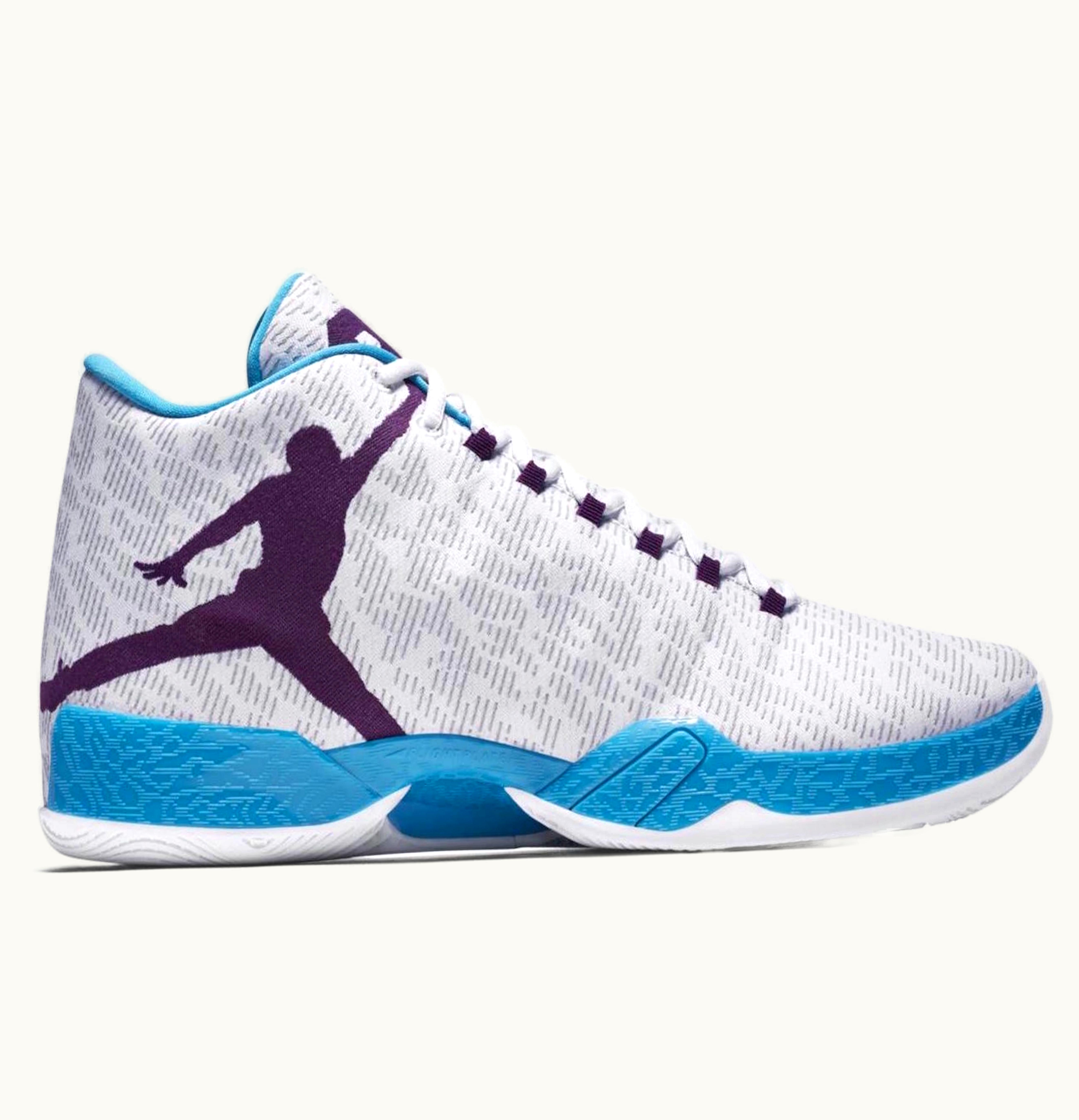 Jordan Air Jordan XX9 Fengshui
