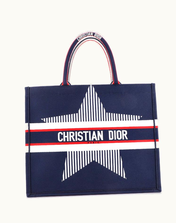 Dior Dioralps Book Tote Embroidered Canvas Large
