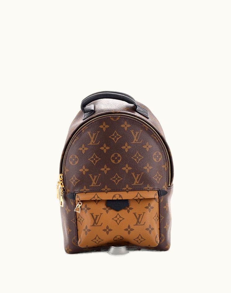 Louis Vuitton Louis Vuitton Palm Springs Backpack Reverse Monogram Canvas PM in Brown