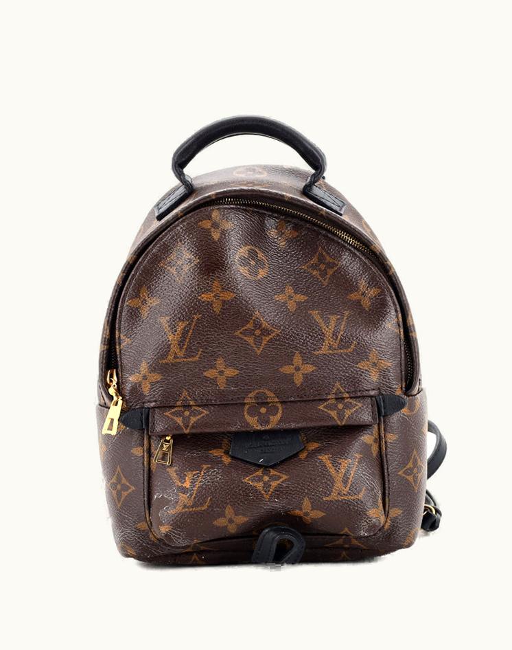 Louis Vuitton Louis Vuitton Palm Springs Backpack Mini Monogram Canvas Brown