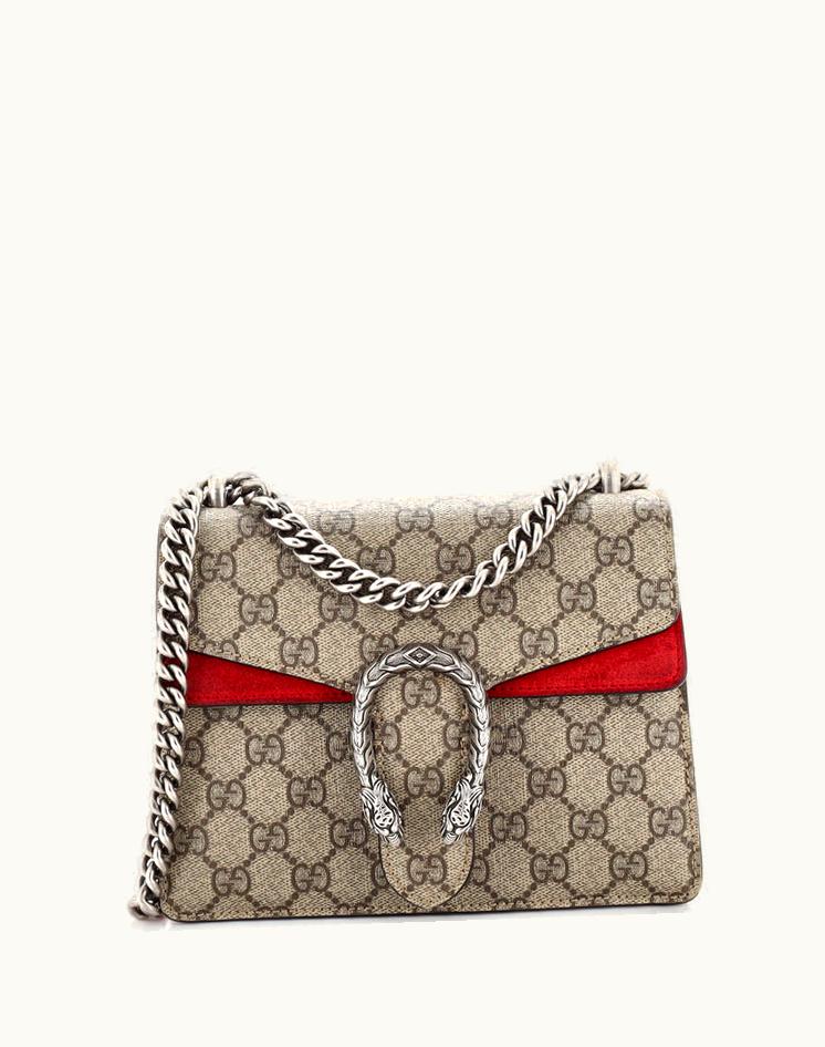 Gucci Gucci Dionysus Bag GG Coated Canvas Mini Luxury Shoulder Bag Brown Red Silver