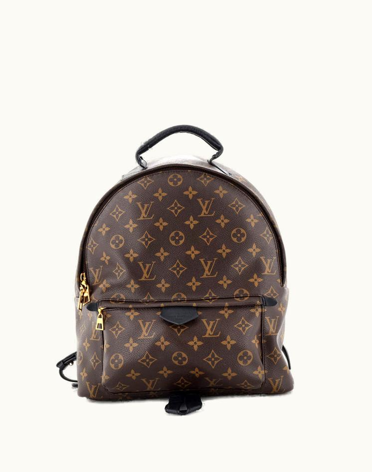 Louis Vuitton Louis Vuitton Palm Springs Backpack Monogram Canvas MM Brown