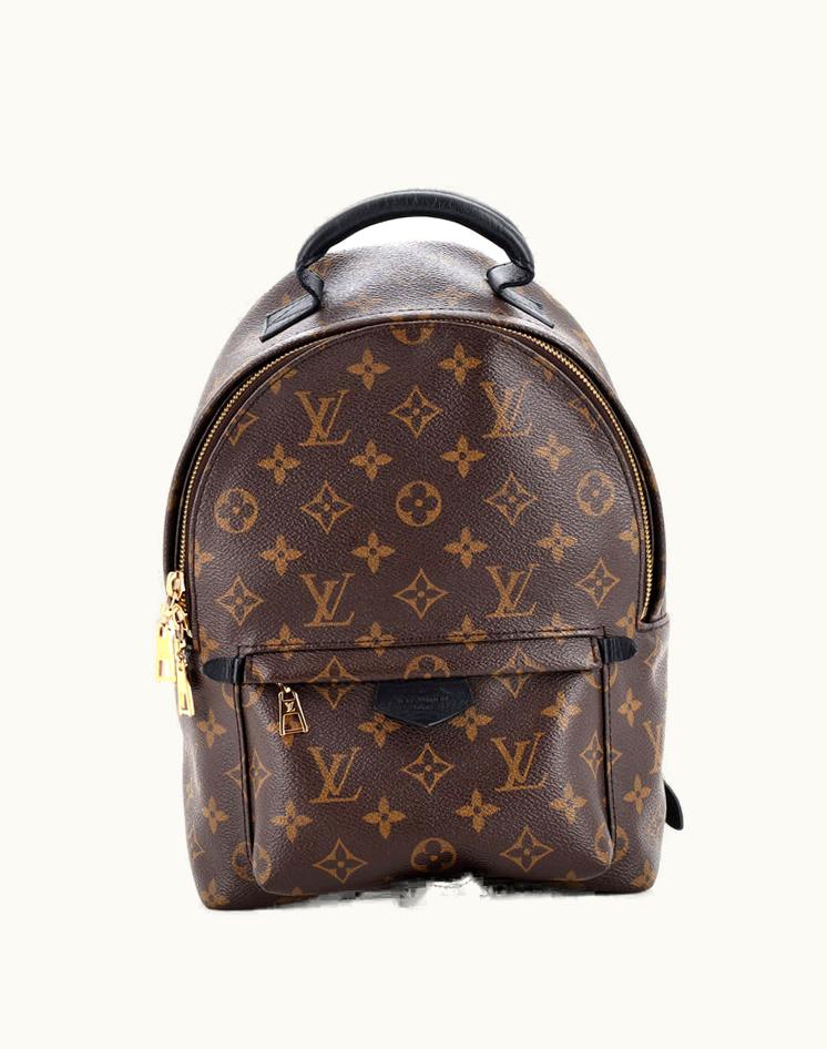 Louis Vuitton Louis Vuitton Palm Springs Backpack Monogram Canvas PM Brown/Gold