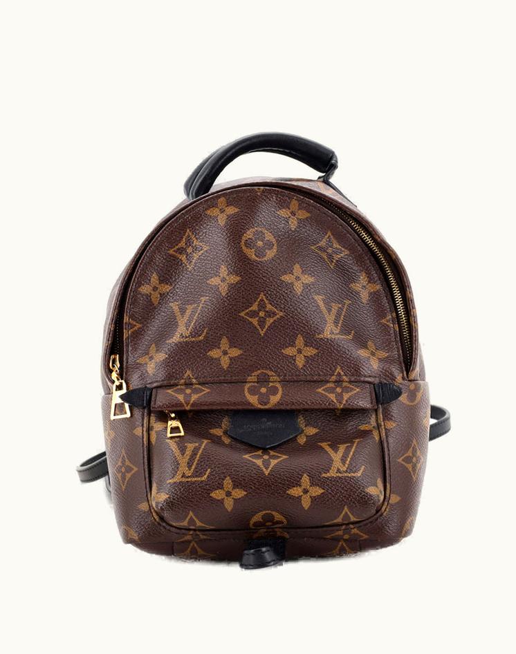 Louis Vuitton Louis Vuitton Palm Springs Backpack Monogram Canvas Mini Luxury Backpack Brown