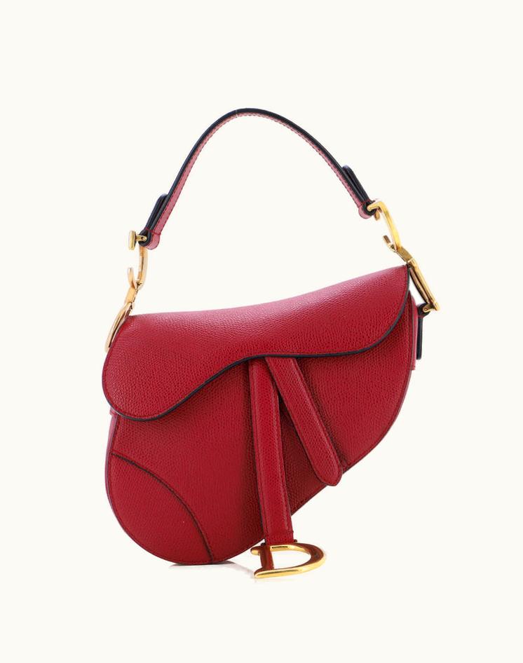 Dior Christian Dior Saddle Handbag Leather Mini Red