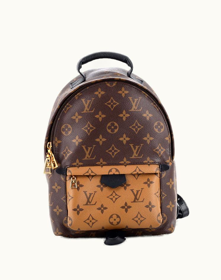 Louis Vuitton Louis Vuitton Palm Springs Reverse Monogram Canvas PM Backpack Brown