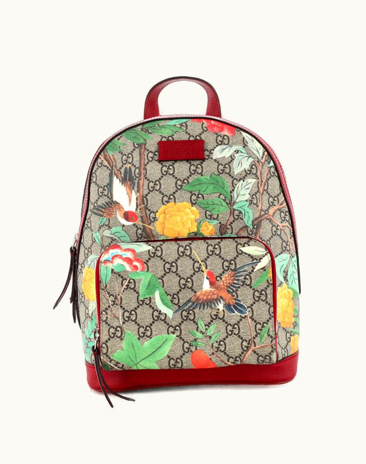 Gucci Gucci GG Coated Canvas Zip Pocket Backpack Small Brown & Red