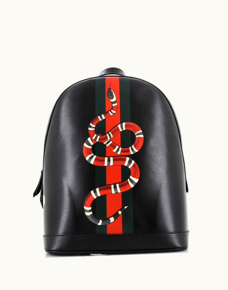 Gucci Gucci Kingsnake Web Backpack Printed Leather