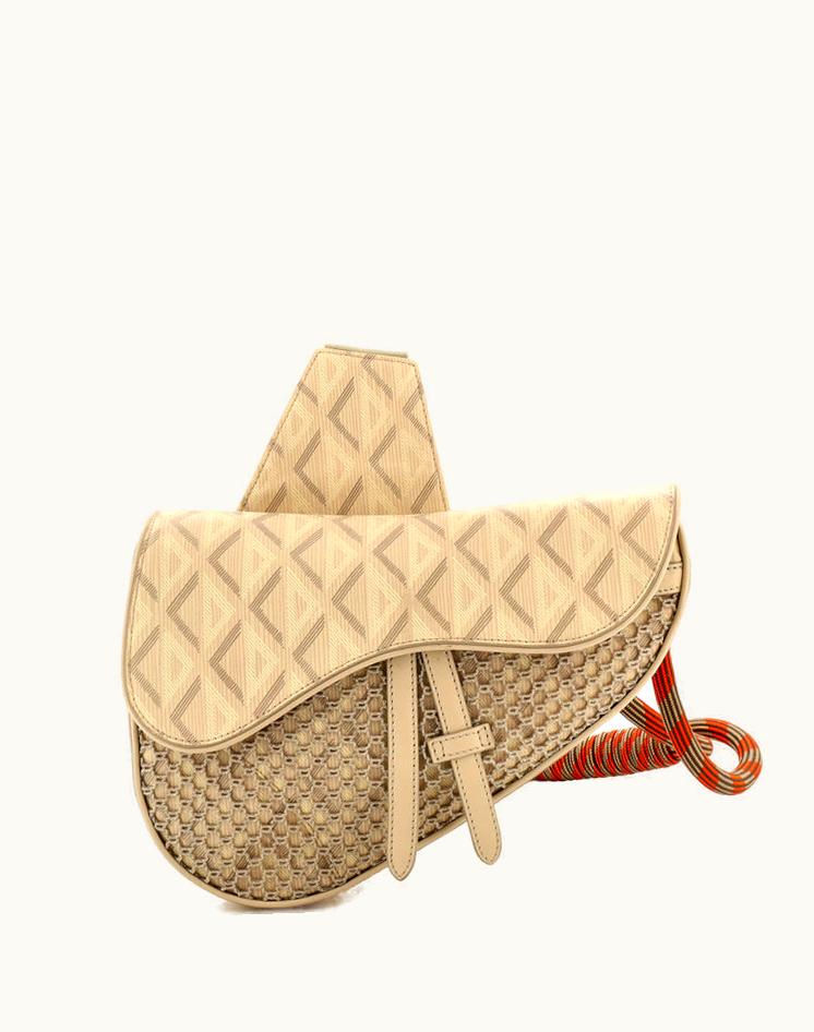 Dior Dior Nautic Saddle Crossbody Bag Cd Diamond Canvas