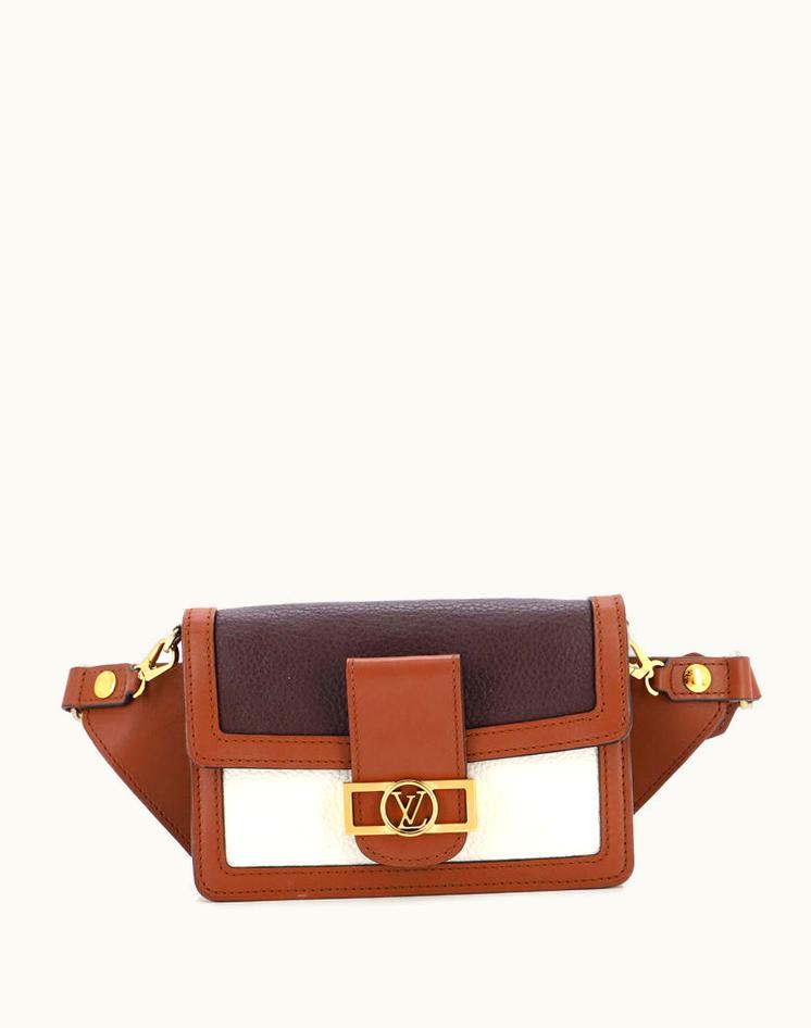 Louis Vuitton Louis Vuitton Dauphine Bumbag Taurillon Leather Crossbody Bag Brown Multicolor