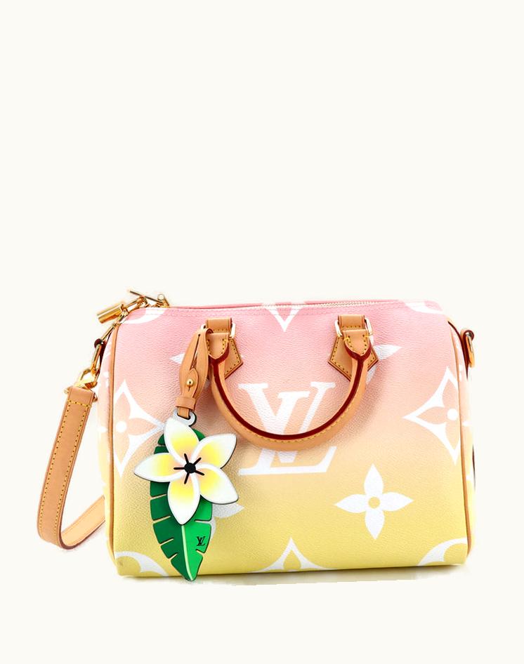 Louis Vuitton Louis Vuitton Speedy Bandouliere Bag By The Pool Monogram Giant 25