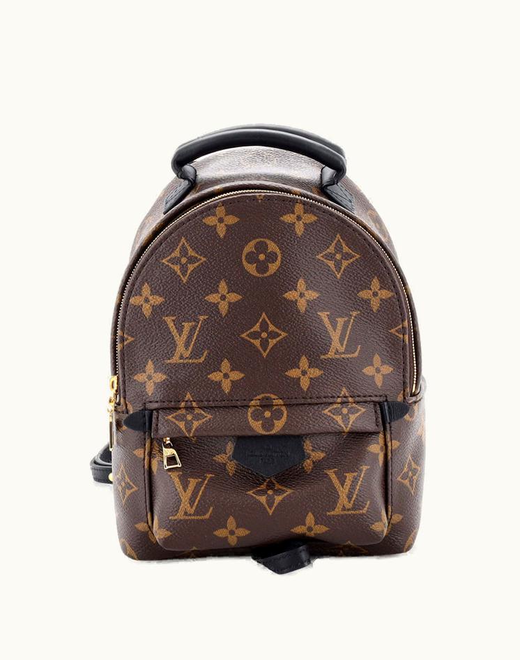 Louis Vuitton Louis Vuitton Palm Springs Backpack Monogram Canvas Mini Brown Gold
