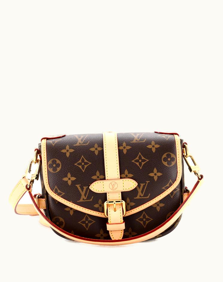 Louis Vuitton Louis Vuitton Saumur Handbag Monogram Canvas BB