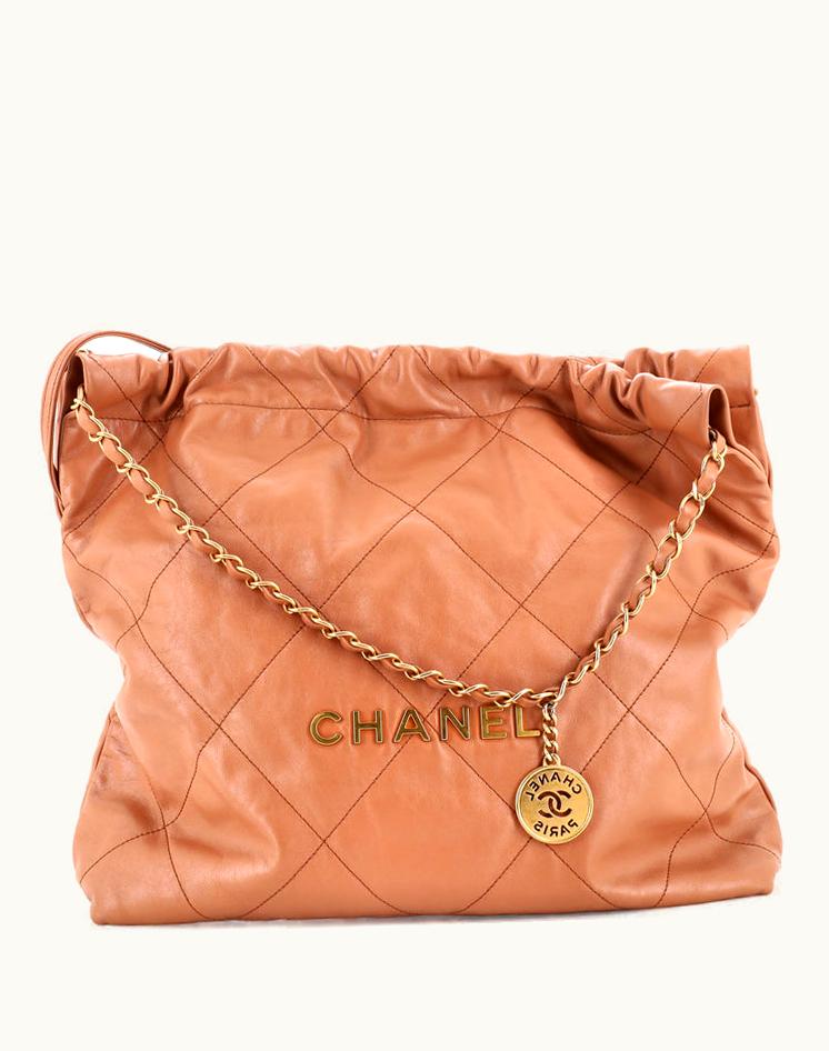 Chanel Chanel 22 Chain Hobo Quilted Calfskin Medium in Neutral