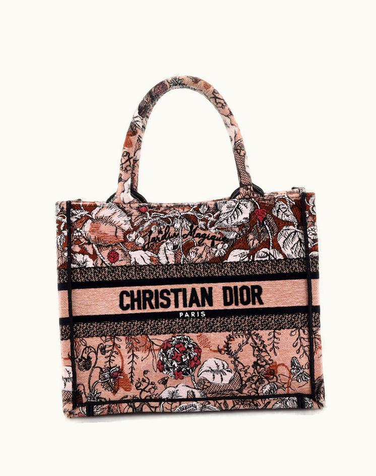 Dior Christian Dior Book Tote Embroidered Canvas Small Neutral Luxe
