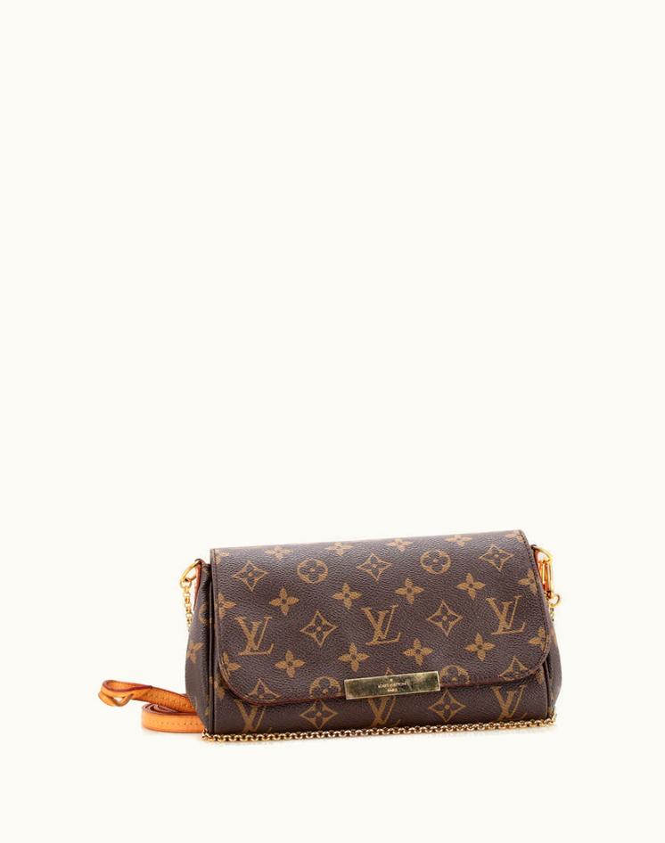 Louis Vuitton Louis Vuitton Favorite Handbag Monogram Canvas PM in Brown