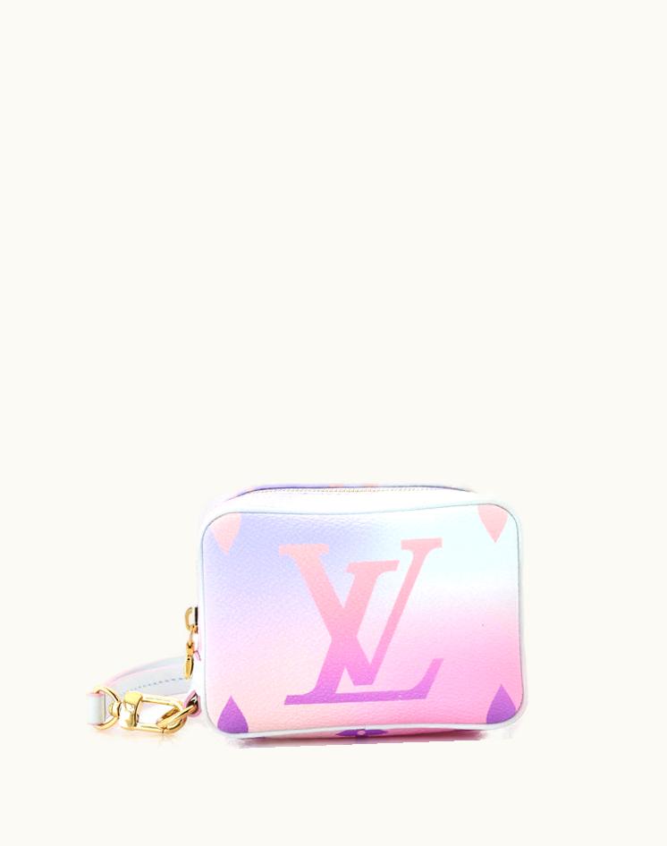 Louis Vuitton Louis Vuitton Wapity Case Spring In The City Monogram Giant Canvas