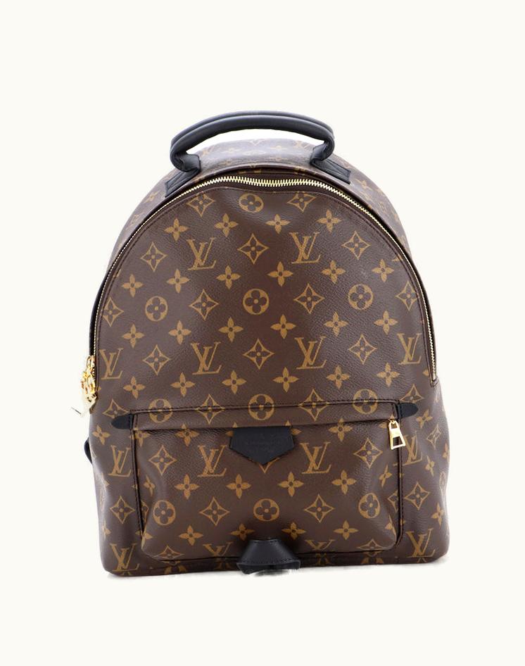 Louis Vuitton Louis Vuitton Palm Springs Backpack Monogram Canvas MM Brown Gold