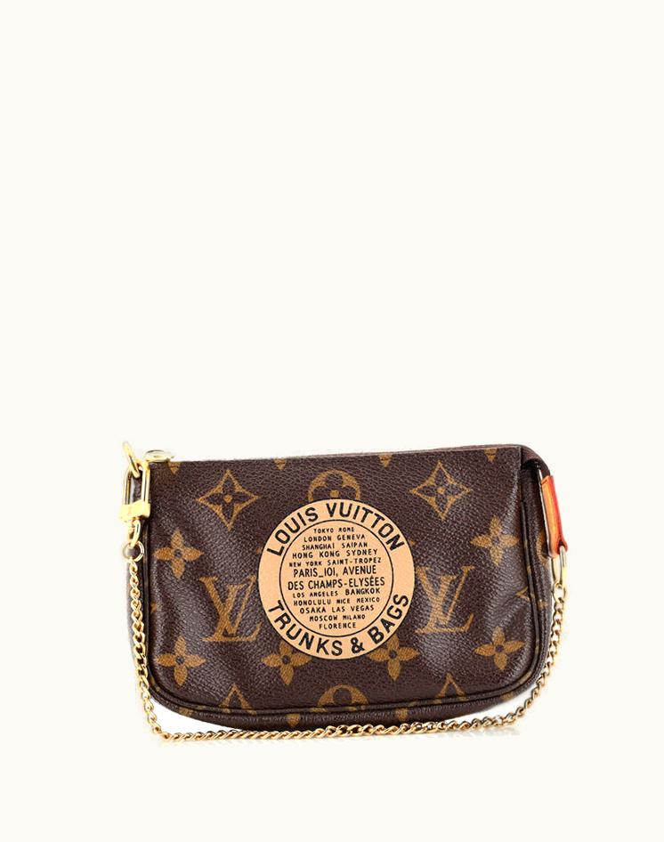 Louis Vuitton Louis Vuitton Pochette Accessoires Limited Edition Monogram Canvas Mini in Brown