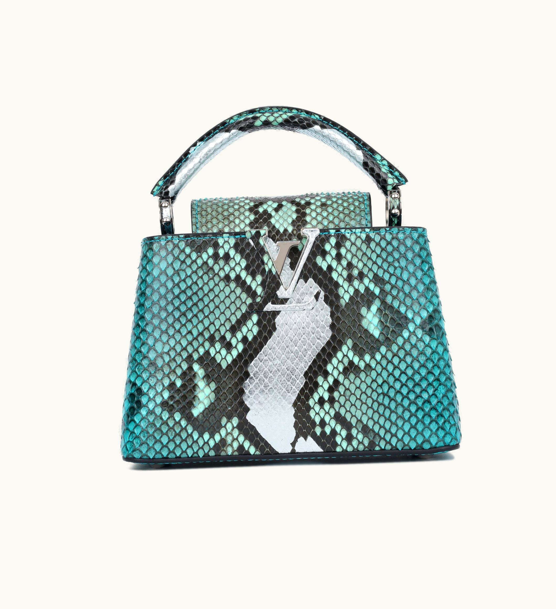 Louis Vuitton Louis Vuitton Capucines Mini Bag