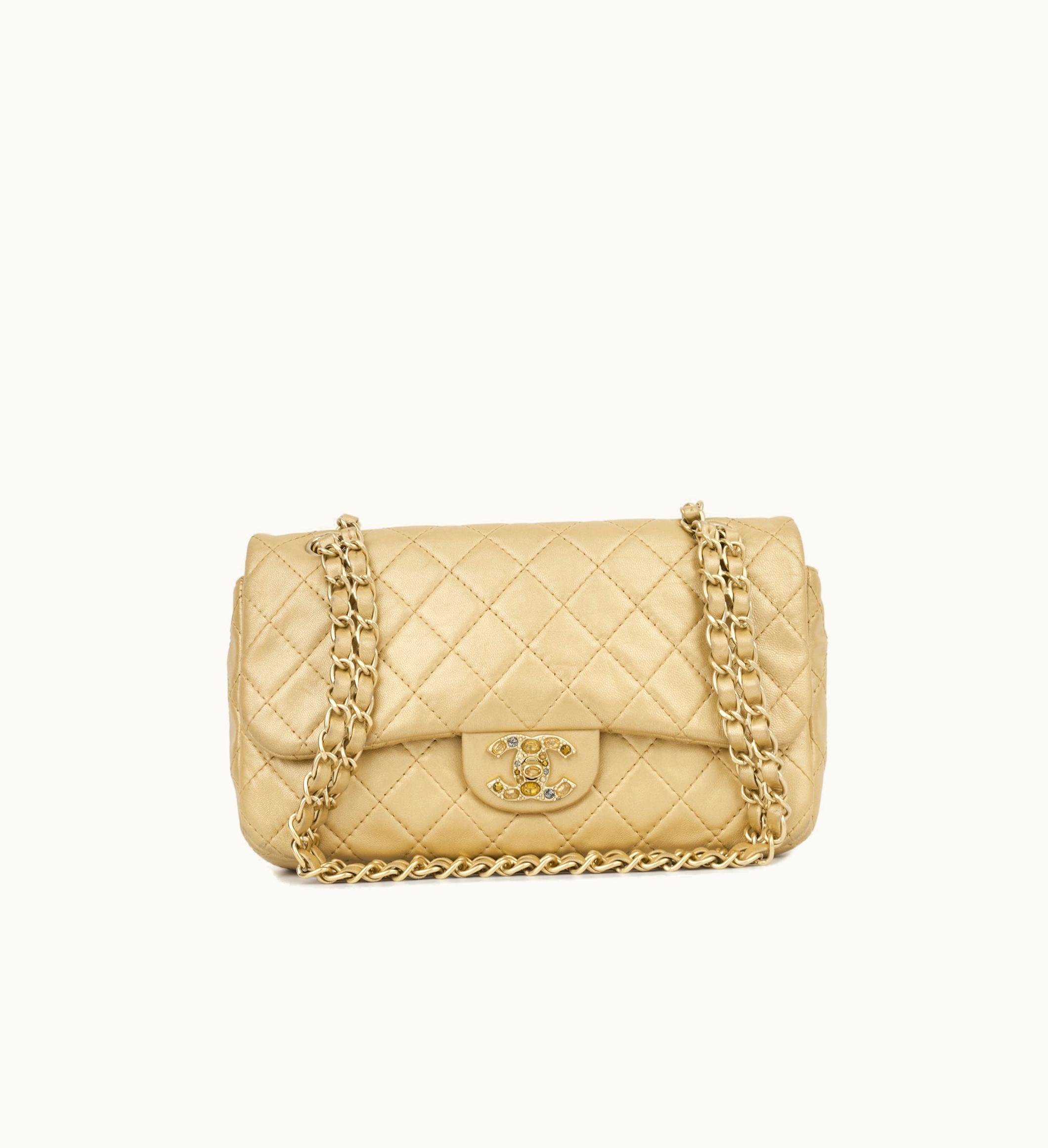Chanel Chanel Seasonal Flap