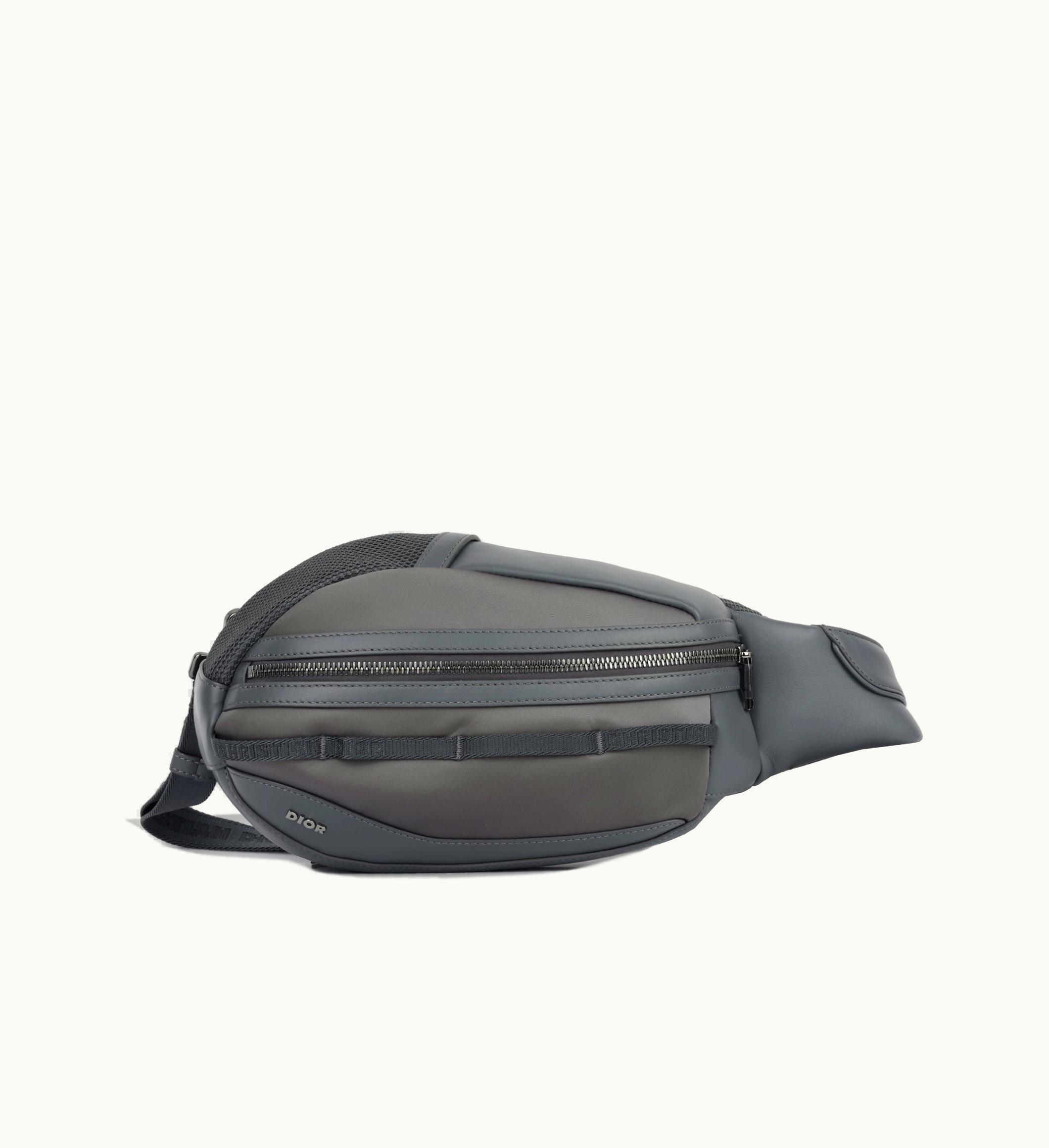 Dior Dior Scarab Bag