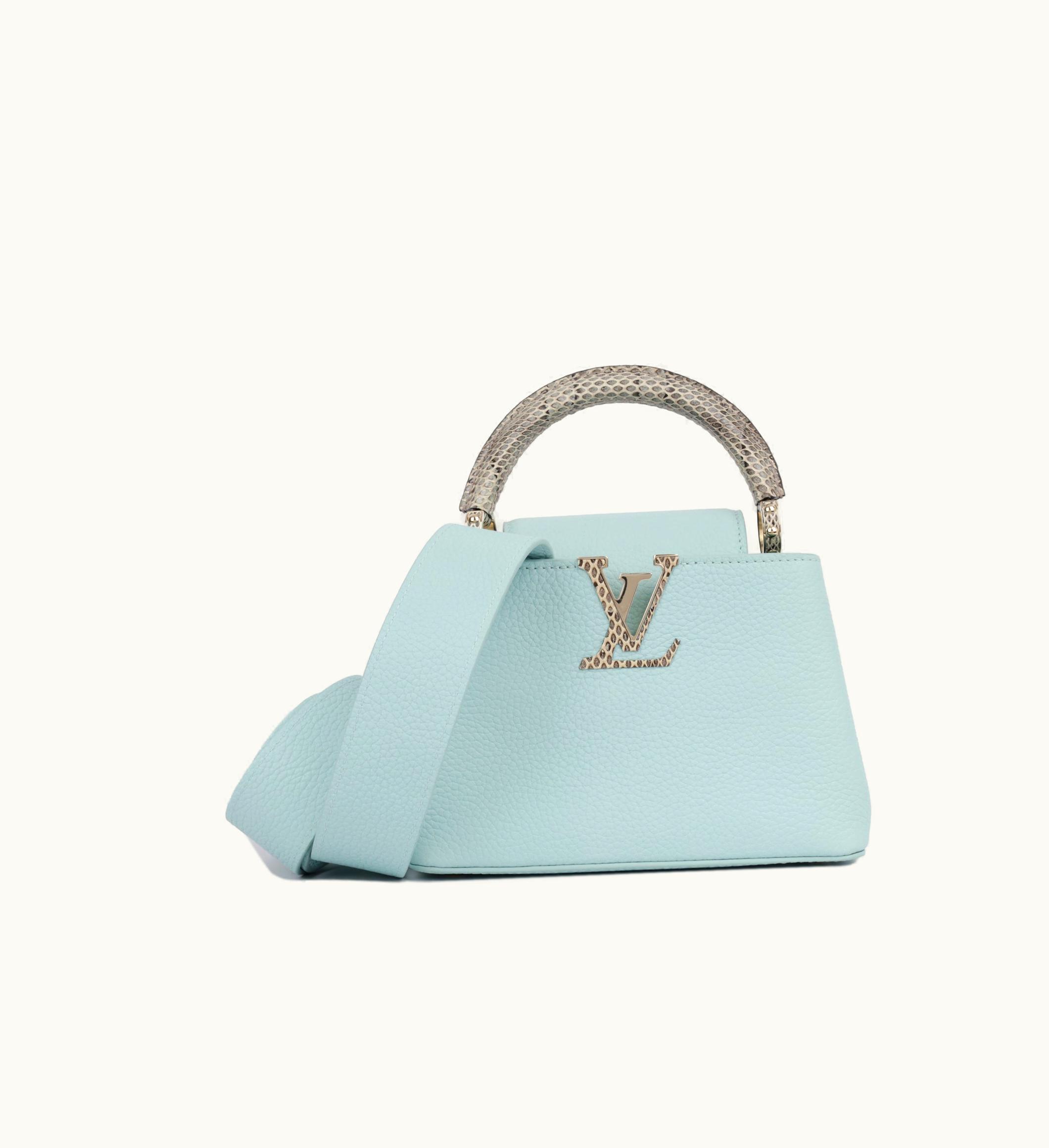 Louis Vuitton Louis Vuitton Capucines Mini