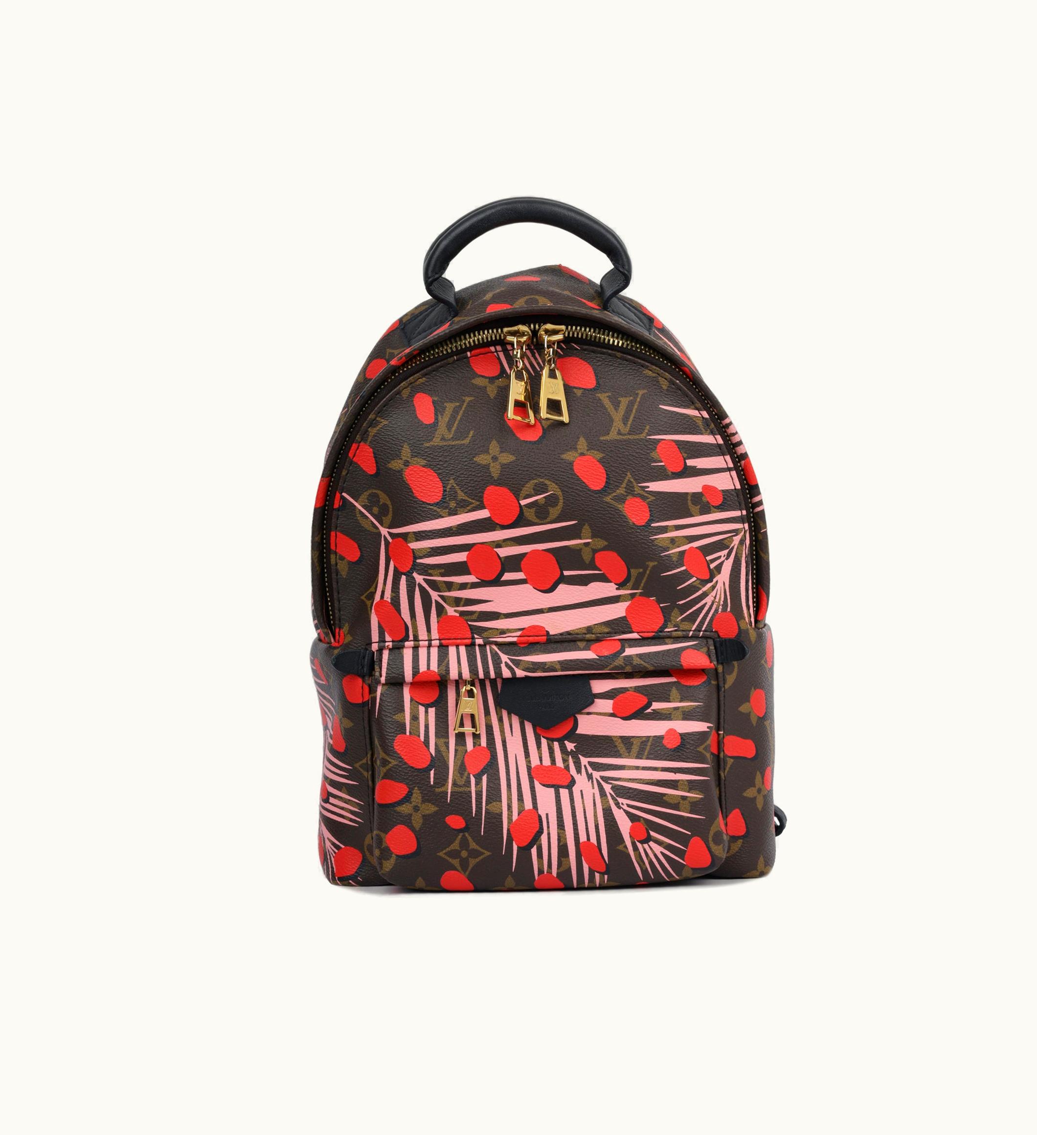 Louis Vuitton Louis Vuitton Palm Springs Backpack PM