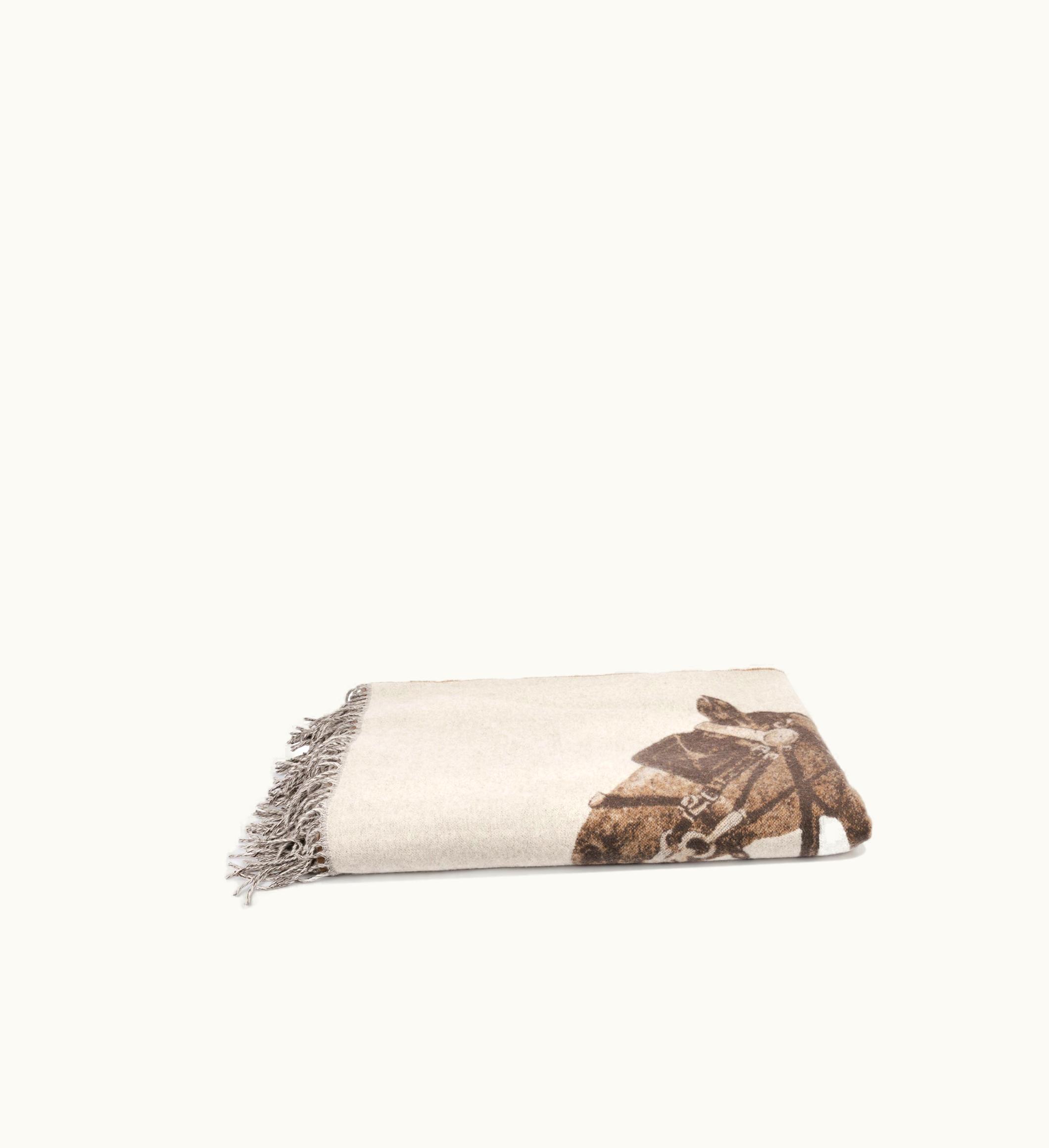 Hermès Hermès Cheval D'Attelage Blanket