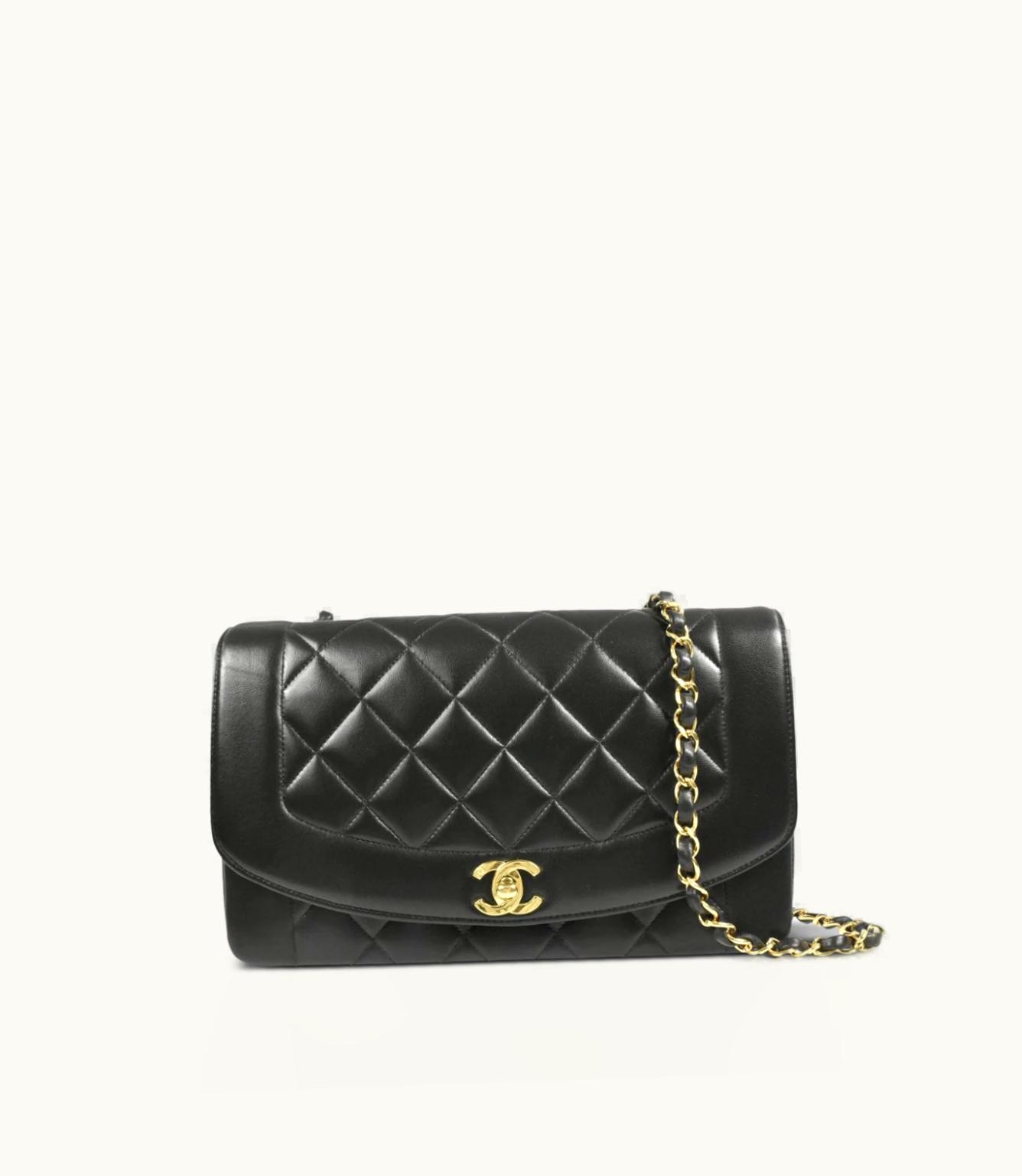 Chanel Chanel 1995 Diana Shoulder Bag