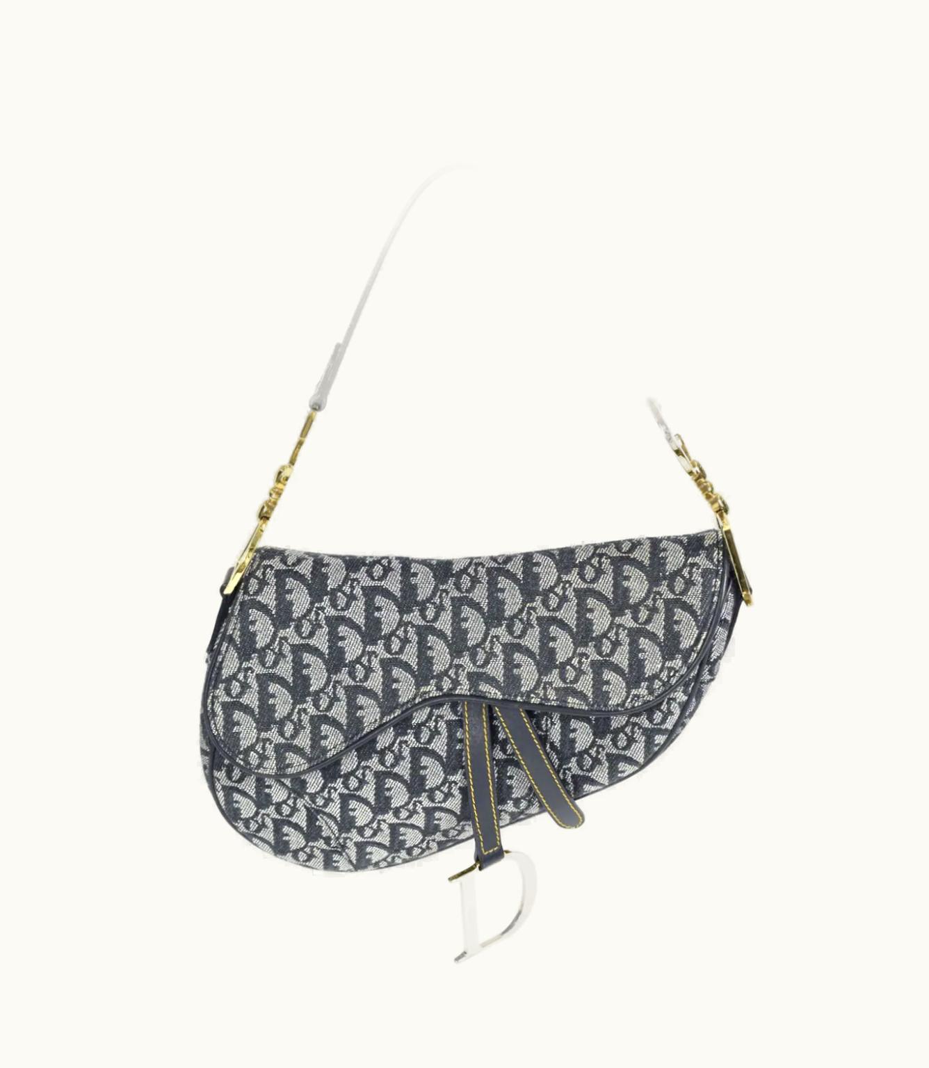 Dior Dior 2001 Pre-Owned Trotter Saddle Bag